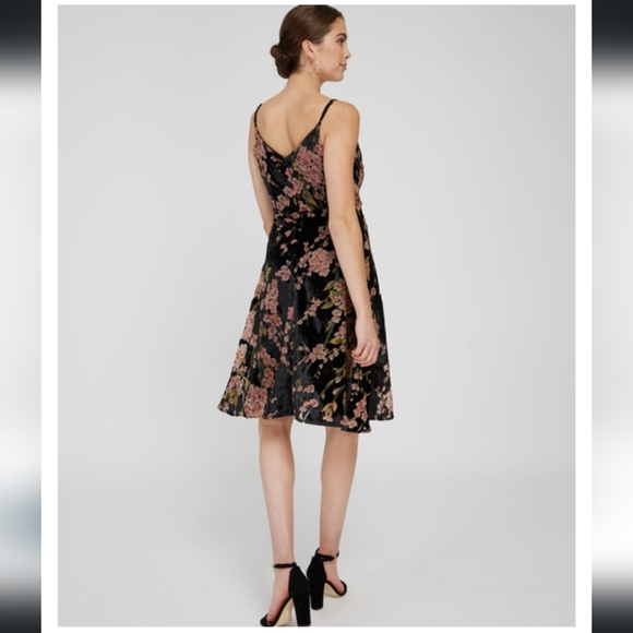 NWT Dex XS Velvet Burnout Dress, wrap style, midi length, with floral design - Picture 5 of 14
